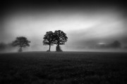 un matin / Quemeneven / Porzhe /2014